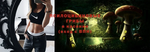 сатива Алексеевка