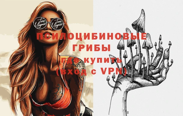 сатива Алексеевка