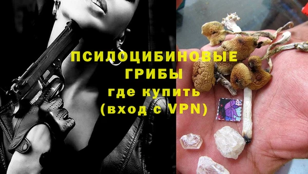 стафф Алексин